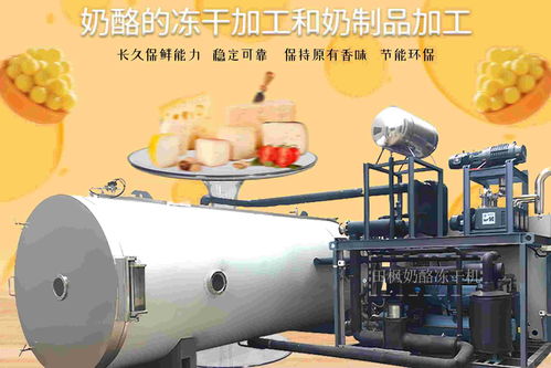 食品凍干機(jī)凍干技術(shù) 奶酪的持久美味與營(yíng)養(yǎng)